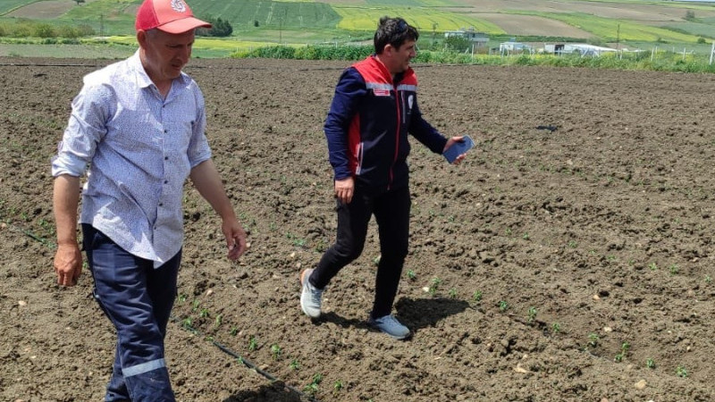 Silivri’de Hibe Fideler Toprakla Buluştu: Üreticiye Bereket Desteği