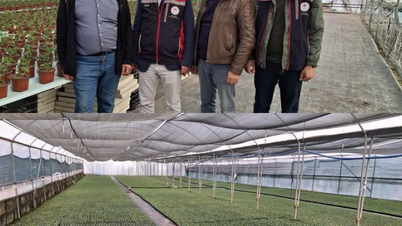SİLİVRİ SEYMEN MAHALLESİNDE ÇİÇEK ÜRETİCİLERİ ZİYARET EDİLDİ